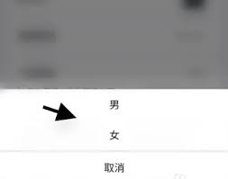 玩剧CP性别怎么改