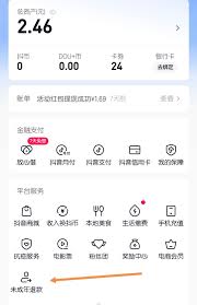 抖音充值的抖币怎么退款