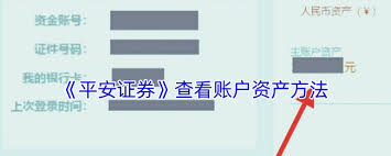 平安证券账户余额查询方法