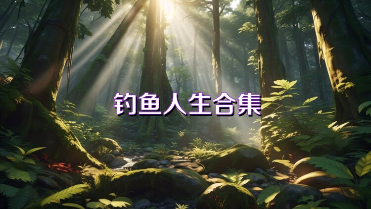 钓鱼人生合集