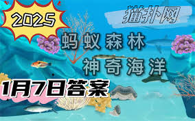 支付宝神奇海洋