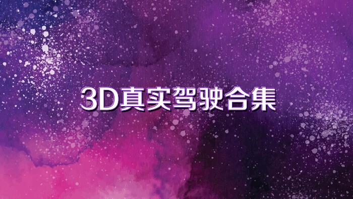 3D真实驾驶合集