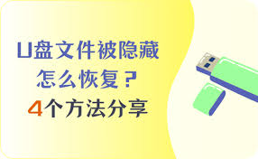 U盘中毒如何恢复文件