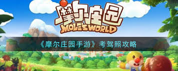 摩尔庄园驾照考试技巧