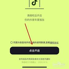 抖音2025年度报告如何查看