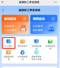 湖南智慧人社平台如何查询养老金余额
