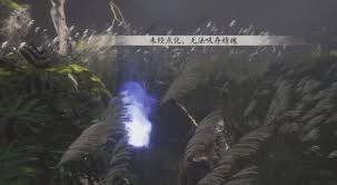 黑神话悟空精魄无法点化解决方法