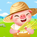 金币养猪场红包版