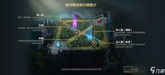 OL新手如何区分上路与下路
