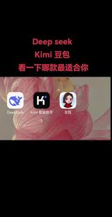 deepseek与豆包有何不同