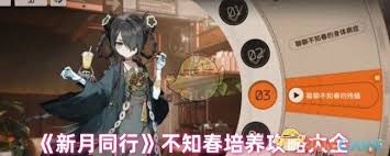新月同行不知春技能加点攻略