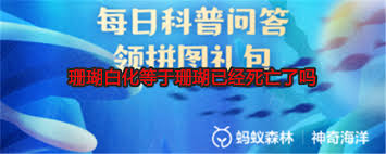 珊瑚白化等于珊瑚死亡吗