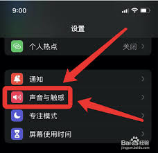 如何关闭苹果13震动声音