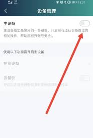 爱奇艺如何设置主设备