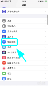 苹果手机屏幕变黑白如何解决