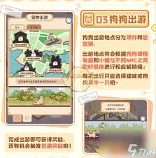 我的休闲时光如何领养小狗