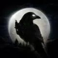 夜鸦NightCrows