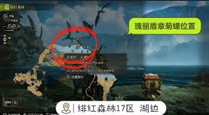 怪物猎人荒野钓鱼支线任务怎么玩