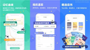 扇贝单词如何补打卡