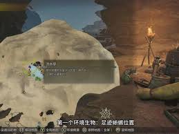 怪物猎人荒野稀有环境生物在哪找