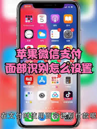 苹果微信面容支付怎么设置