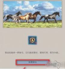 这就是江湖马匹玩法攻略