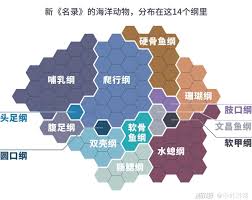 哪种海洋动物属国家一级保护动物
