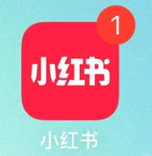 小红书红点提示无消息原因