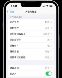 苹果消息提示音如何设置