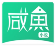 咸鱼小说软件自定义版