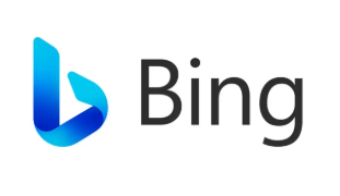 必应国际版app大全