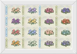 桃源深处有人家牵牛花育种配方是什么