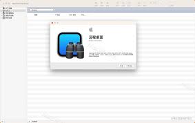 苹果版远程桌面管理器怎么安装