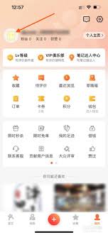 大众点评怎么进行点评