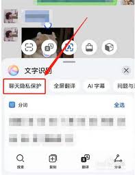 华为聊天隐私保护怎么用