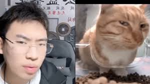 听泉鉴宝在哪里直播