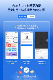 支付宝个人ID在哪里