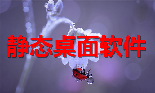 静态桌面软件大全