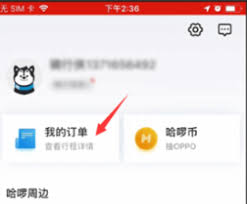 如何删除哈啰顺风车出行记录