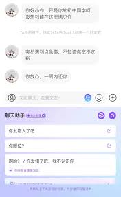 soul虚拟伴侣能聊那个吗