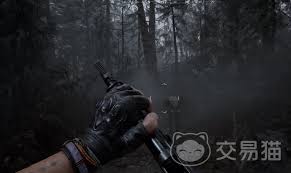 穿越火线虹是什么游戏