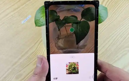 扫图识物的手机app大全