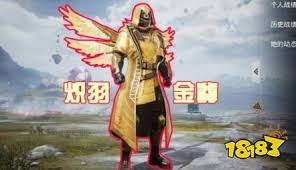 如何免费获取2020和平精英炽羽金尊礼包兑换码