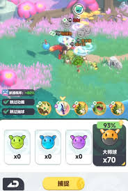 曙光重临红宠在哪里