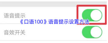 口语100如何关闭音效