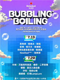2025沈阳泡泡岛音乐节何时举办及如何购票
