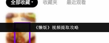 如何提取懒饭视频