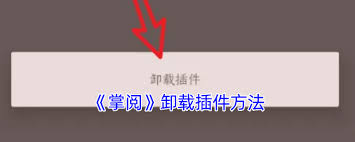 掌阅如何删除插件