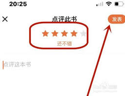 番茄小说如何写小说点评