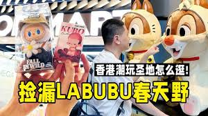 拉布布教程是什么